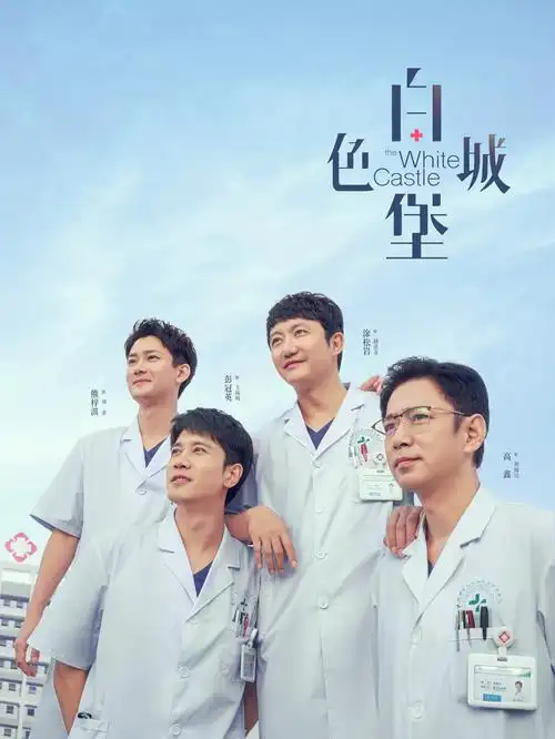 锦绣人生 海报
